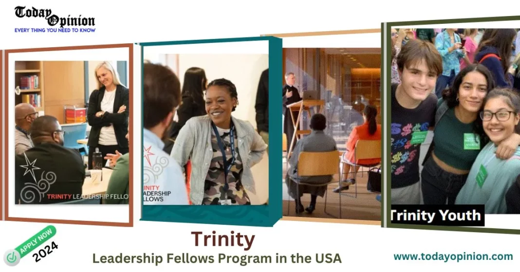 Leadership-Fellows-Program-in-the-USA